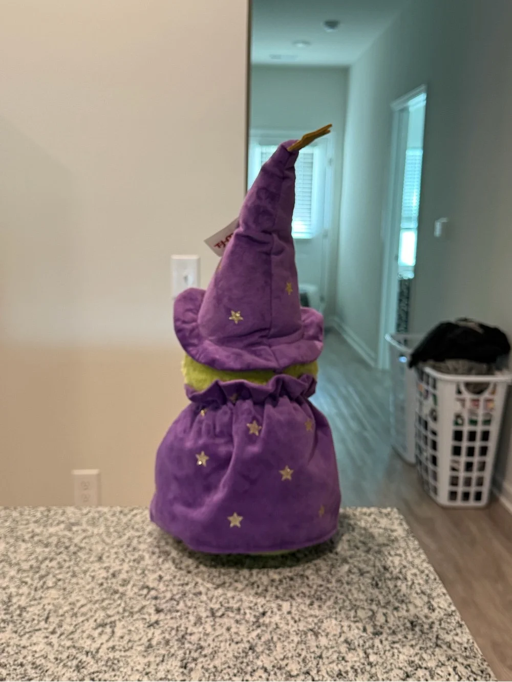Moonlight Manor Wizard Frog